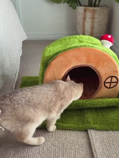 Casinha Aconchegante para Gatos